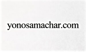 yonosamachar com